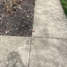 What Makes Driveways and Walkways Lose Their Clean Appearance So Quickly?