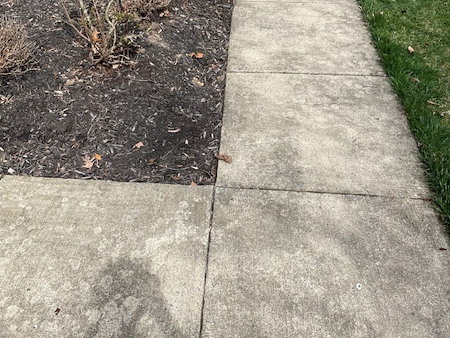 What makes driveways and walkways lose their clean appearance so quickly